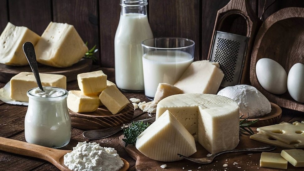 Какую пользу приносят организму молочные продукты?
