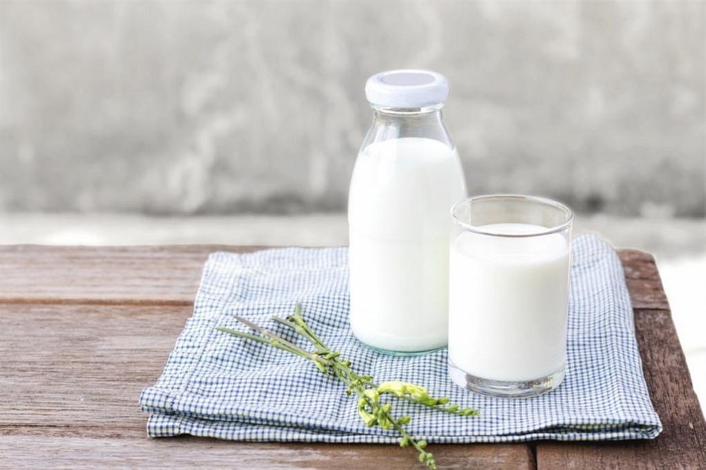 Что такое жирность молока, особенности каждого вида