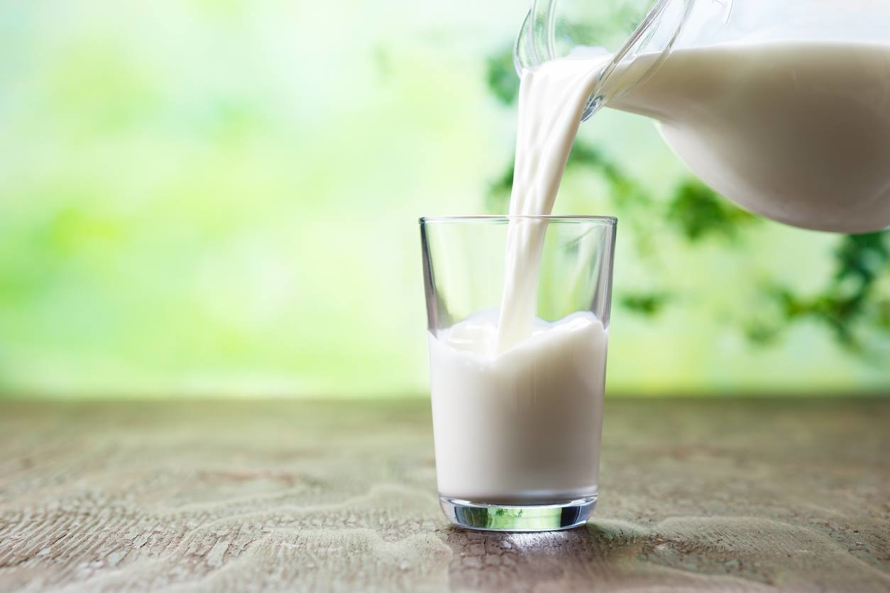 Что собой представляет отборное молоко, его особенности