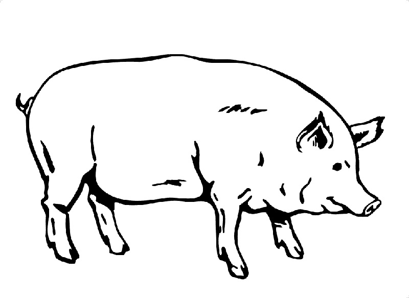 Свинина тушёная